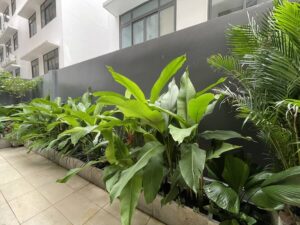 BAN-NHA-VAN-PHUC-CITY-7