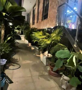 ban nha can goc van phuc city san vuon