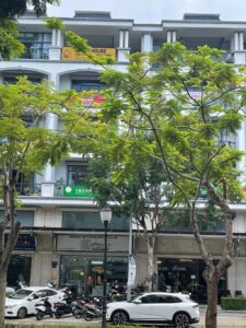 ban shophouse nguyen thi nhung van phuc city khudothivanphuc.vn 4