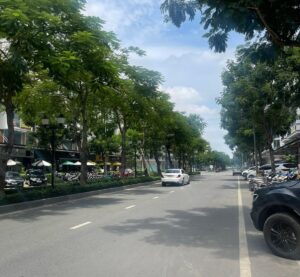 duong nguyen thi nhung van phuc city